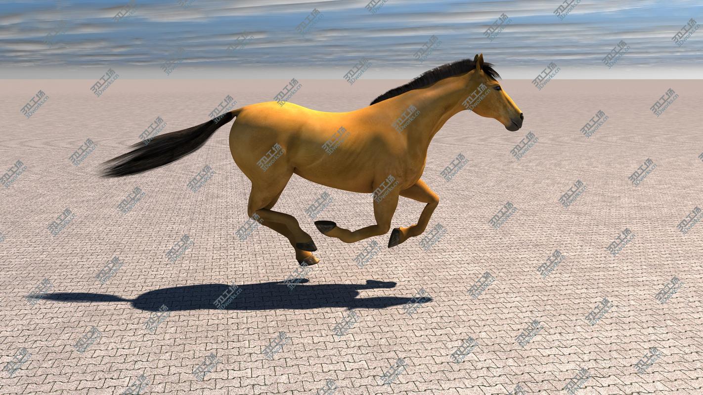 images/goods_img/202105072/3D Horse model/5.jpg
